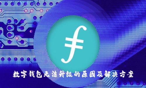 数字钱包无法升级的原因及解决方案