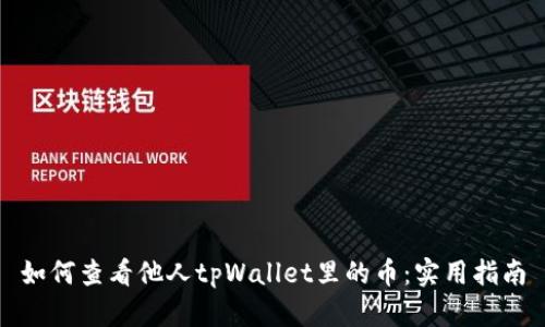 如何查看他人tpWallet里的币：实用指南