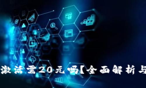 tpWallet激活需20元吗？全面解析与使用指南