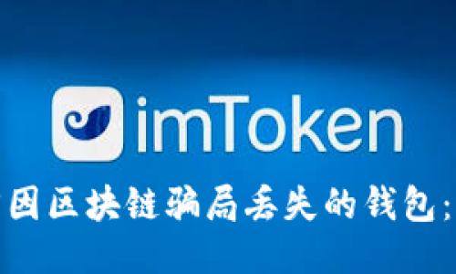 如何找回因区块链骗局丢失的钱包:全面攻略