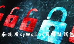  如何下载和使用tpWallet马蹄链钱包：新