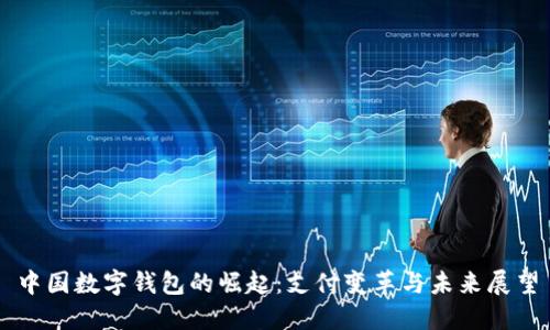 中国数字钱包的崛起:支付变革与未来展望