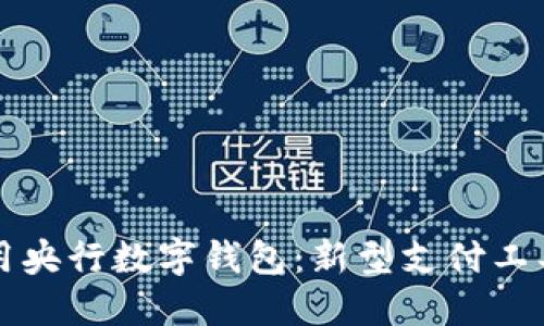 如何高效使用央行数字钱包:新型支付工具的全面指导