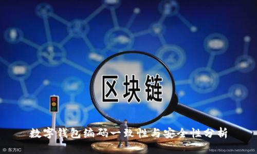 数字钱包编码一致性与安全性分析