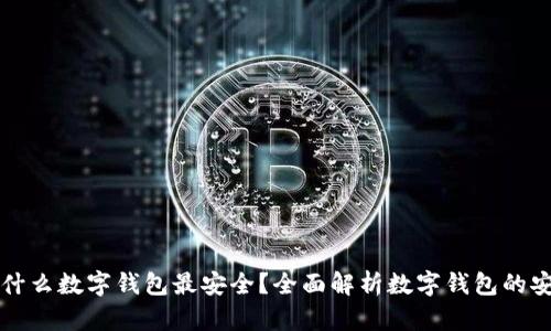 到底什么数字钱包最安全?全面解析数字钱包的安全性