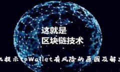 : 手机提示tpWallet有风险的原因及解决