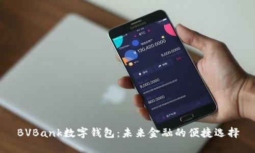 BVBank数字钱包:未来金融的便捷选择