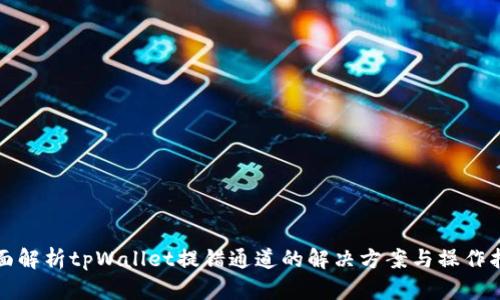 全面解析tpWallet提错通道的解决方案与操作指南