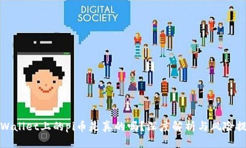 tpWallet上的pi币是真的吗？深度解析与风险提示
