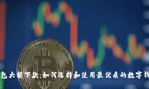 数字钱包大额下款:如何选择和使用最优质的数字钱包平台