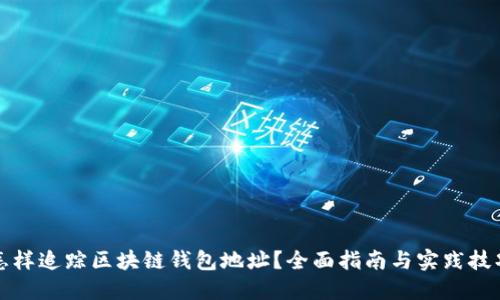 怎样追踪区块链钱包地址?全面指南与实践技巧