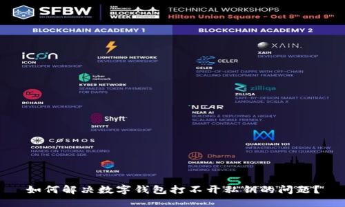 如何解决数字钱包打不开私钥的问题?