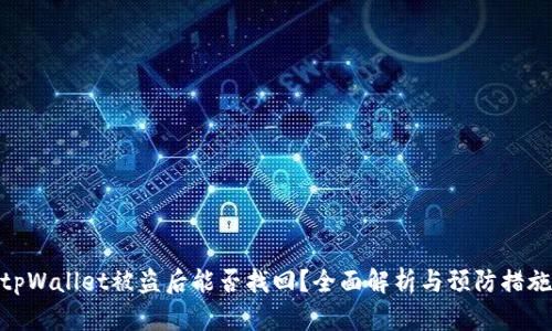 tpWallet被盗后能否找回?全面解析与预防措施