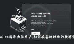 tpWallet清退大陆用户，如何妥善处理你