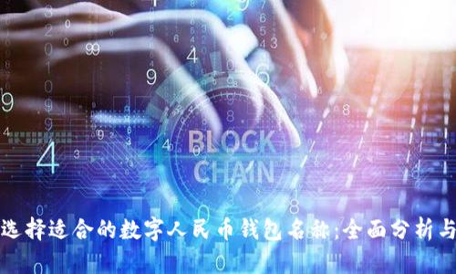 如何选择适合的数字人民币钱包名称:全面分析与指导