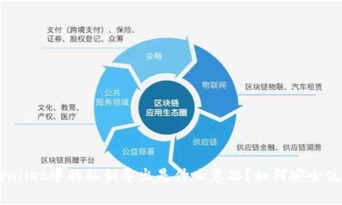 tpWallet中的私钥导出是什么意思?如何安全使用?