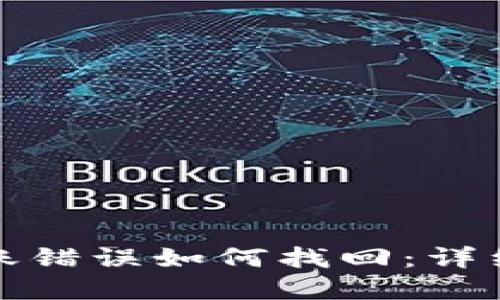 tpWallet转账错误如何找回:详细指南与步骤