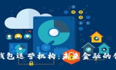 济南数字钱包运营机构：未来金融的创