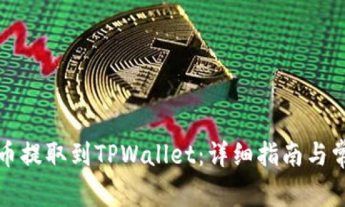 如何将狗狗币提取到TPWallet:详细指南与常见问题解答