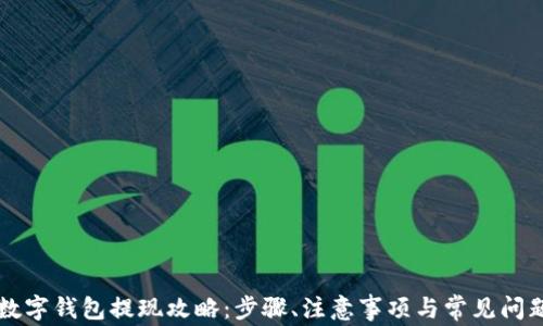 阿里数字钱包提现攻略:步骤、注意事项与常见问题解答