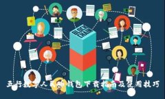 五行数字人民币钱包下载指南及使用技