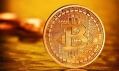   如何批量导入tpWallet的详细指南 /  