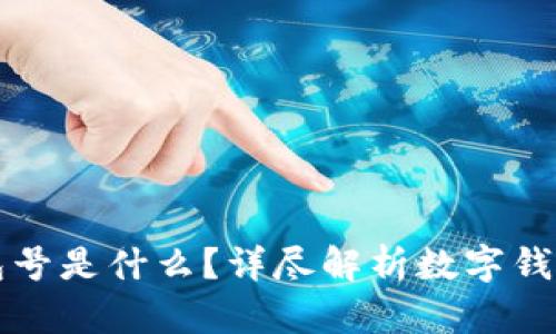 数字钱包的钱包号是什么？详尽解析数字钱包的功能与使用