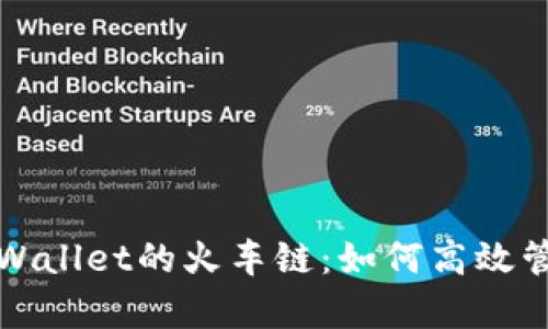 全面解析tpWallet的火车链：如何高效管理数字资产