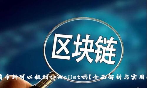 所有币种可以提到tpWallet吗?全面解析与实用指南