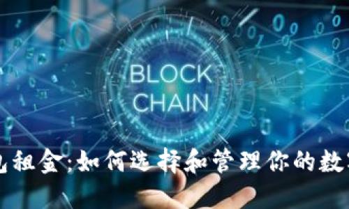 区块链钱包租金：如何选择和管理你的数字资产钱包
