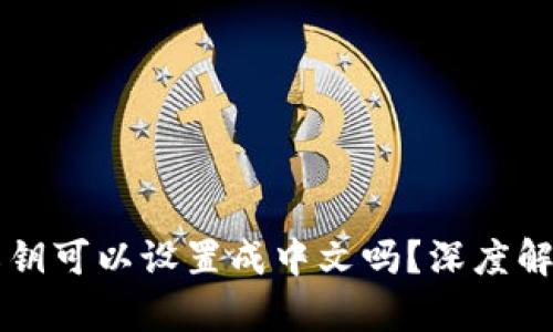 tpWallet的私钥可以设置成中文吗?深度解析及实用指南