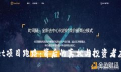 tpWallet项目跑路：背后的真相与投资者