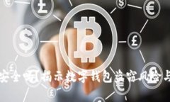 tpWallet安全吗？揭示数字钱包盗窃风险