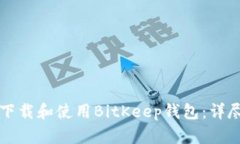 如何下载和使用BitKeep钱包：详尽指南