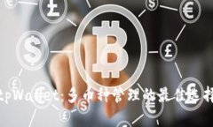 tpWallet：多币种管理的最佳选择