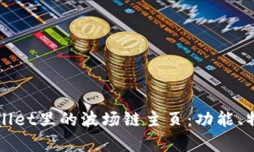 全面解析tpWallet里的波场链主页:功能、特点与使用技巧