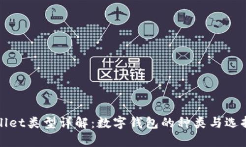 tpWallet类型详解:数字钱包的种类与选择指南