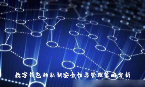 数字钱包的私钥安全性与管理策略分析