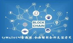 tpWallet入金教程：全面解析各种充值方