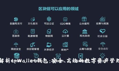 全面解析tpWallet钱包:安全、高效的数字资产管理工具