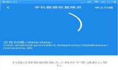 tpWallet转错了怎么办？详细步骤与技巧