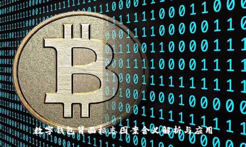 数字钱包背面标志图案含义解析与应用