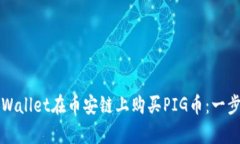 如何通过tpWallet在币安链上购买PIG币：