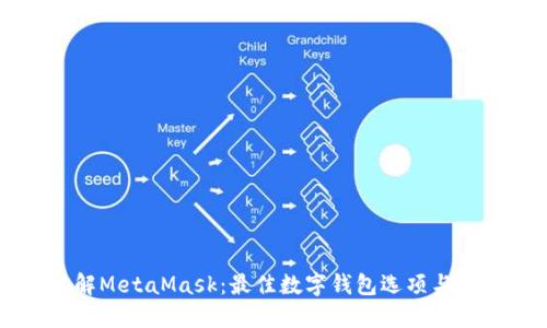 深入了解MetaMask:最佳数字钱包选项与使用指南