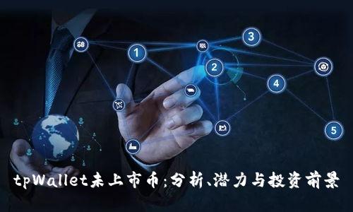 tpWallet未上市币:分析、潜力与投资前景