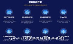 tpWallet能实现跨链转账功能吗？