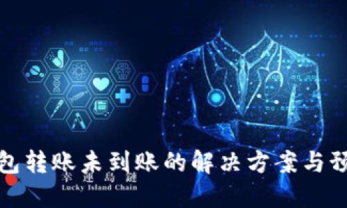 数字钱包转账未到账的解决方案与预防技巧