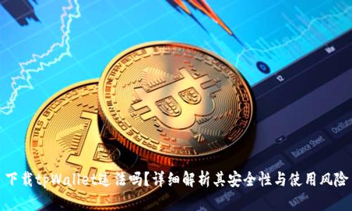 下载tpWallet违法吗?详细解析其安全性与使用风险