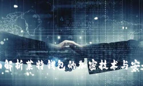 全面解析莱特钱包的加密技术与安全性