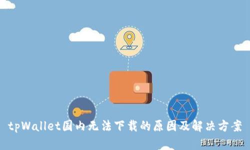tpWallet国内无法下载的原因及解决方案